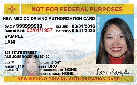 nm driver's license written test